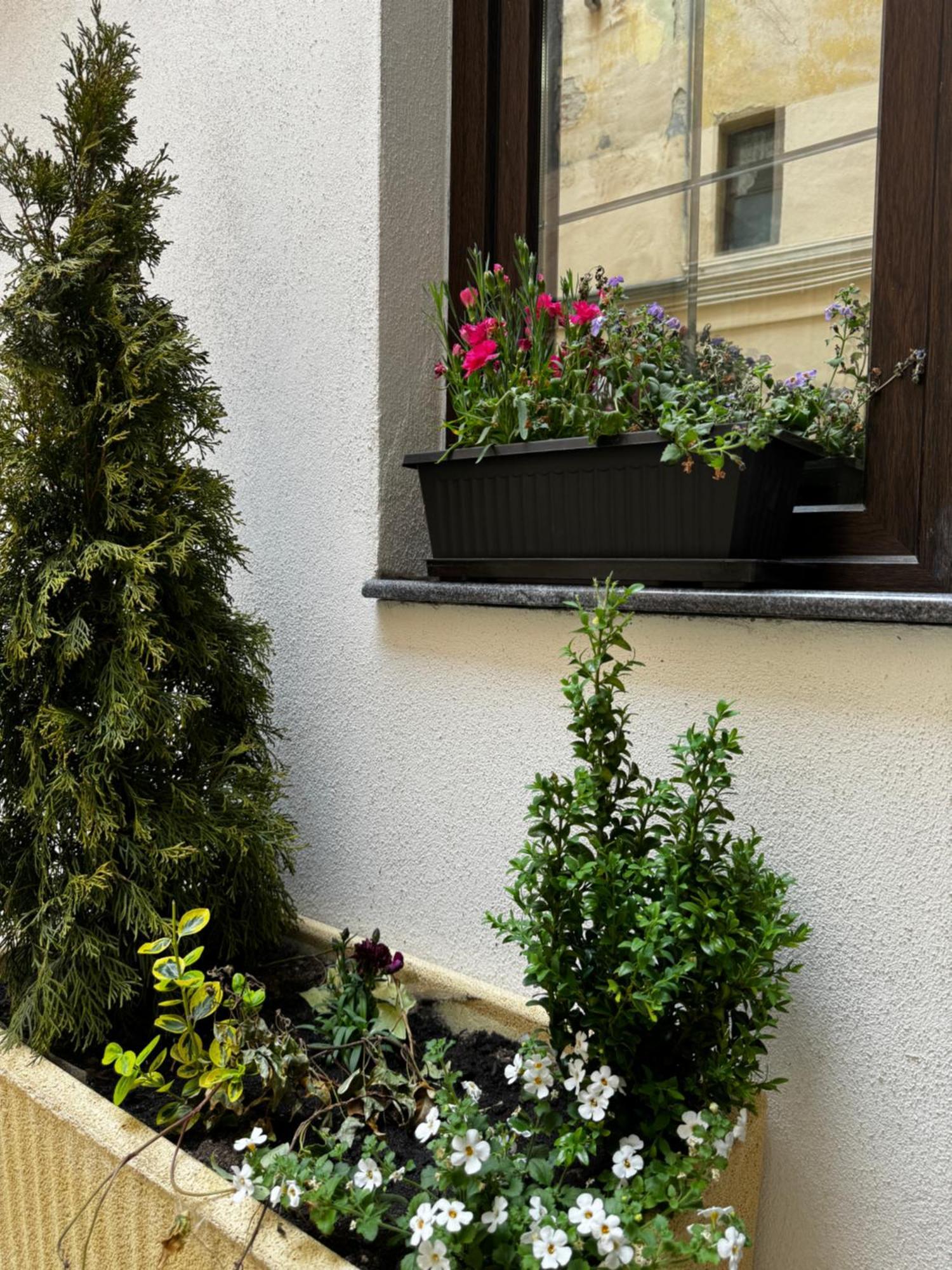 Balcescu Central Residence Sibiu Habitación foto
